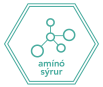 Amínó sýrur