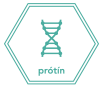 Prótín